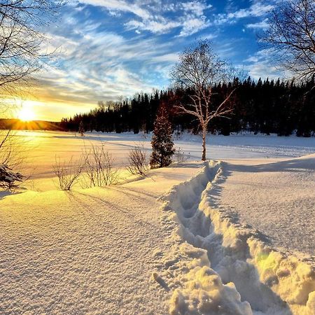 Gite Le Grandelinois Saint-Paulin Dış mekan fotoğraf